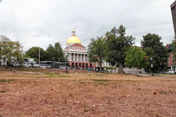 A lack of rain in the summer of 2016 took a toll on properties around Massachusetts, including Boston Common. A lack of rain in the summer of 2016 took a toll on properties around Massachusetts, including Boston Common.
