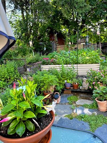 Dawn Kennedy and Margo Townley transformed their backyard into an outdoor living room where they spend leisure time watching birds while being protected from biting insects by their copious mint plants.