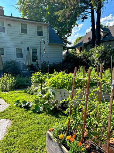 Because they hope to age in place, Margo Townley and Dawn Kennedy are gradually replacing their lower, wood-sided garden bed frames with higher, more accessible enclosures made of metal.