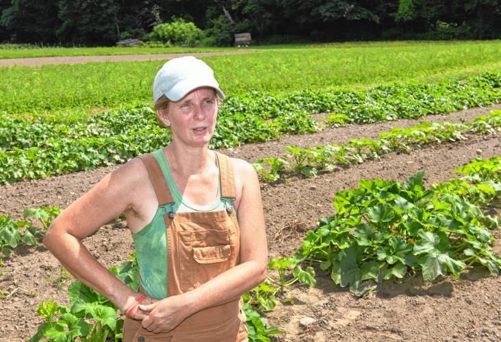 Maggie Toran of Natural Roots farm in Conway says it’s difficult to know what to expect as a farmer because “we don’t know how climate change is going to shift and change. We just have to have that long view and take it one year at a time. … We’re very much carrying the awareness of the time we live in and looking at the farm with a long-term perspective.”