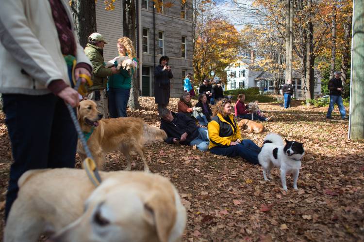 Participants in the Friends of the Dickinson Memorial Library’s annual dog show in 2015 watch the judging in Northfield. The event returns Saturday, Oct. 5. Participants in the Friends of the Dickinson Memorial Library’s annual dog show in 2015 watch the judging in Northfield. The event returns Saturday, Oct. 5.