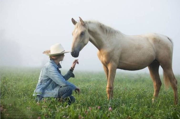 Erin O’Neil is a horse trainer whose work with feral horses in abandoned Appalachian coal fields is being supported by Regenerative Farms, a nonprofit founded by Ashfield resident Mary Johnson. Erin O’Neil is a horse trainer whose work with feral horses in abandoned Appalachian coal fields is being supported by Regenerative Farms, a nonprofit founded by Ashfield resident Mary Johnson.
