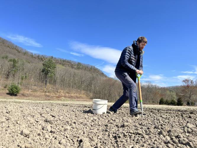 Eric Giordano, a designer with Regenerative Design Group, collects a soil sample in Deerfield in 2023. With a $99,900 grant, the Greenfield-based ecological design firm will develop best practices to help implement the state’s Healthy Soils Action Plan. Eric Giordano, a designer with Regenerative Design Group, collects a soil sample in Deerfield in 2023. With a $99,900 grant, the Greenfield-based ecological design firm will develop best practices to help implement the state’s Healthy Soils Action Plan.