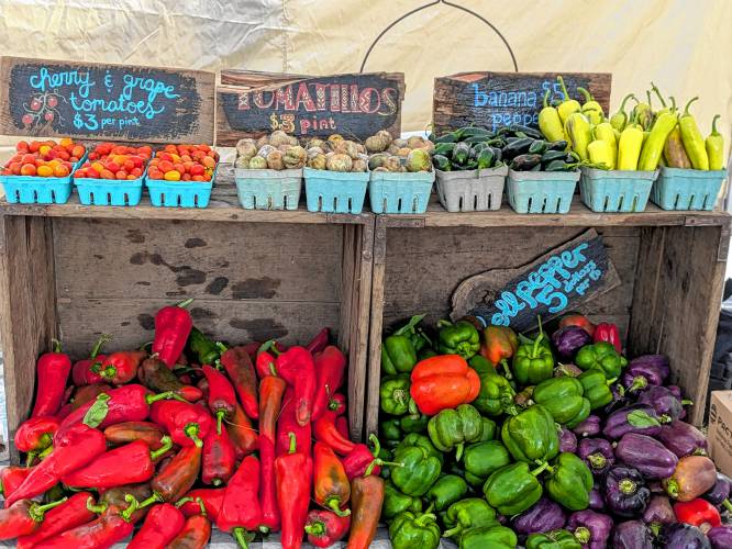 Coolidge Hill Farm’s produce on display at a farmers market. All of it can be bought with HIP.