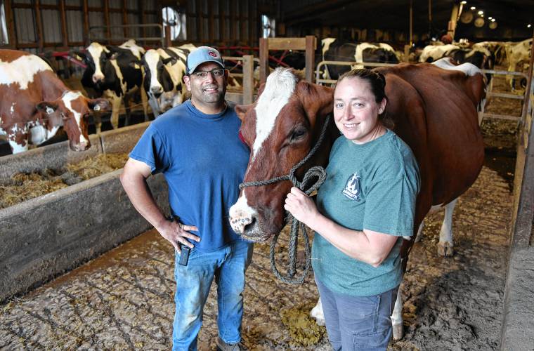 Adam and Melissa Griffin with their cows at Clessons River Farm in Buckland. 