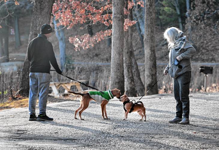 Two dogs meet as they pass with their owners walking around Silver Lake in Athol. Two dogs meet as they pass with their owners walking around Silver Lake in Athol.