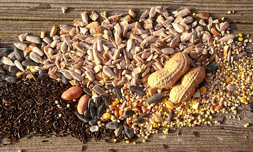 Going clockwise from top left, we have black-oil sunflower, shelled sunflower, white millet with cracked corn, peanuts in the shell, peanuts out of the shell and Nyjer seeds. Going clockwise from top left, we have black-oil sunflower, shelled sunflower, white millet with cracked corn, peanuts in the shell, peanuts out of the shell and Nyjer seeds.