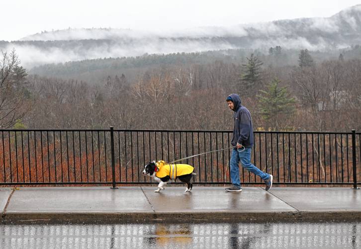 Shelburne Falls resident Joseph Doty walks Ximi along Bridge Street in Shelburne Falls in a light rain. Shelburne Falls resident Joseph Doty walks Ximi along Bridge Street in Shelburne Falls in a light rain.