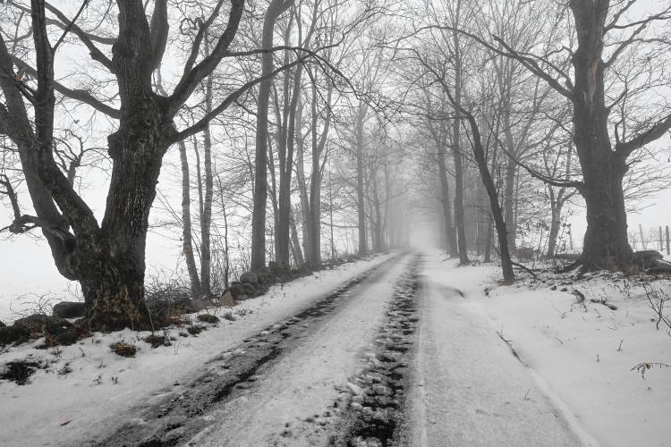 An old farm road is bereft of color as it is flanked by trees and fog in the Patten section of Shelburne on Tuesday. An old farm road is bereft of color as it is flanked by trees and fog in the Patten section of Shelburne on Tuesday.